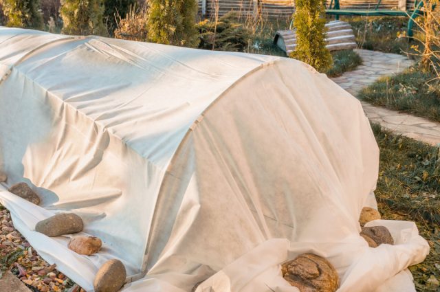 Свежий воздух, отсутствие конденсата и долговечность — вот что ценят в спанбонде. Он пропускает воздух и воду, предотвращает перегрев, не создаёт парникового эффекта, листья не мокнут, а растения меньше болеют.