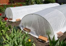 Плёнка или укрывной материал — что на самом деле лучше?