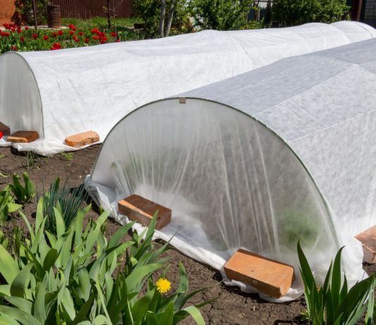 Плёнка или укрывной материал — что на самом деле лучше? - Овощи Плёнка или укрывной материал — что на самом деле лучше?