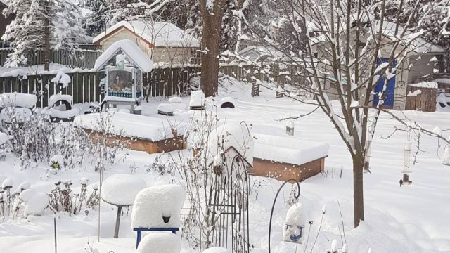 Высокий снежный покров защищает подзимние посевы и многолетнюю зелень от гибели, землю от промерзания, не даёт погибнуть полезной почвенной микрофлоре, а весной напитывает грядки влагой. Высокий снежный покров защищает подзимние посевы и многолетнюю зелень от гибели, землю от промерзания, не даёт погибнуть полезной почвенной микрофлоре, а весной напитывает грядки влагой.