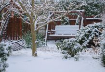 Что нельзя делать садоводам и огородникам в декабре