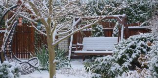 Что нельзя делать садоводам и огородникам в декабре