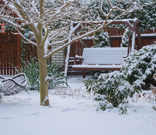 Что нельзя делать садоводам и огородникам в декабре