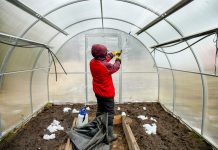 Что необходимо сделать с теплицей в конце осени: готовимся к новому сезону Что необходимо сделать с теплицей в конце осени: готовимся к новому сезону.