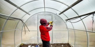 Что необходимо сделать с теплицей в конце осени: готовимся к новому сезону.