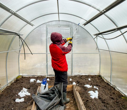 Что необходимо сделать с теплицей в конце осени: готовимся к новому сезону.