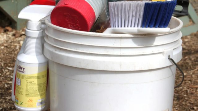 Провести дезинфекцию курятника самостоятельно не составит большого труда. А выбор средств в настоящее время огромен.