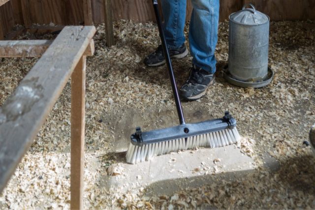 Перед применением любых дезинфицирующих средств важно полностью избавиться от старого подстила, перьев, помёта и остатков кормов.