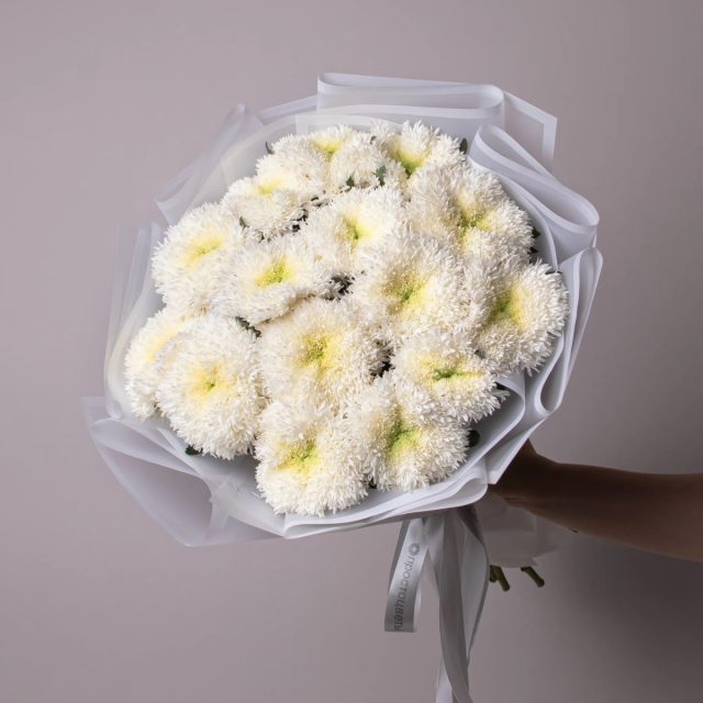 Узнаваемой чертой «Этруско Вайт» стали изящные завитки лепестков в сочетании с нежной зеленоватой серединкой, придающей цветку неповторимую прелесть. Узнаваемой чертой «Этруско Вайт» стали изящные завитки лепестков в сочетании с нежной зеленоватой серединкой, придающей цветку неповторимую прелесть.