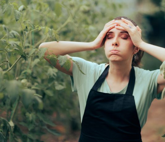 Главные «табу» для садовода, или Как уберечь сад от ошибок? - Сад и огород Главные «табу» для садовода, или Как уберечь сад от ошибок?
