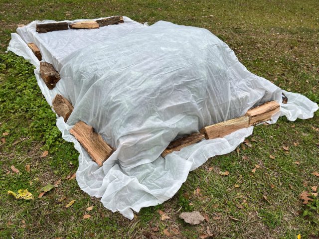 Защита малозимостойких культур. Укутывание плотным укрывным материалом, прижатым по краям камнями или землей, предотвращает проникновение холодного воздуха и мелких грызунов.