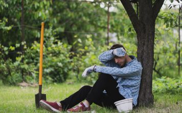 Как дача может испортить вам жизнь? И что с этим делать