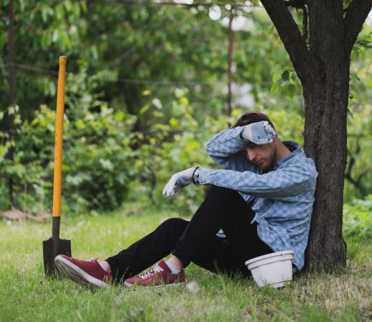 Как дача может испортить вам жизнь? И что с этим делать - Цветник и ландшафт Как дача может испортить вам жизнь? И что с этим делать