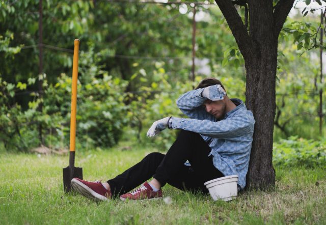 Как дача может испортить вам жизнь? И что с этим делать Как дача может испортить вам жизнь? И что с этим делать