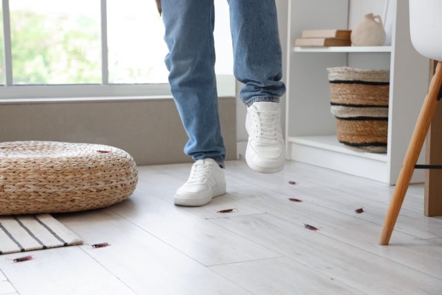 Зачастую борьба с вредоносными насекомыми не приводит к желаемым результатам и создаётся ощущение, что вывести их невозможно. Зачастую борьба с вредоносными насекомыми не приводит к желаемым результатам и создаётся ощущение, что вывести их невозможно.