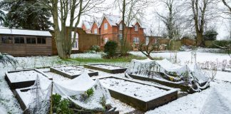 Лунный календарь садовода и огородника на декабрь 2025 года.