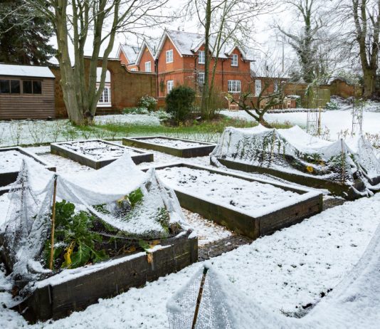Лунный календарь садовода и огородника на декабрь 2025 года - Цветник и ландшафт Лунный календарь садовода и огородника на декабрь 2025 года.
