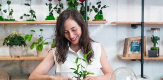 Мастерим комнатную теплицу своими руками — все возможные варианты - Лучшее Мастерим комнатную теплицу своими руками — все возможные варианты.