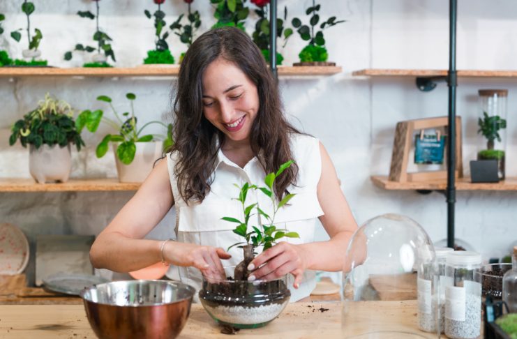 Мастерим комнатную теплицу своими руками — все возможные варианты Мастерим комнатную теплицу своими руками — все возможные варианты.