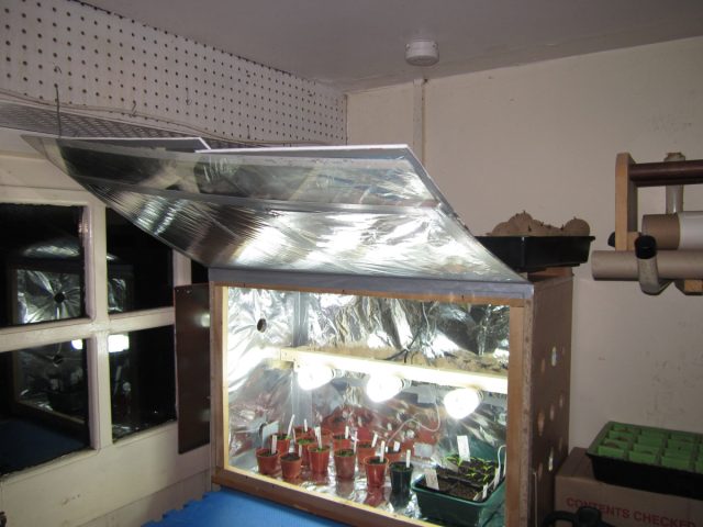 Здесь растениям обеспечивается нужный микроклимат и защита от перепадов температур с помощью внутренней системы отопления, покрытия стенок гибкими светоотражающими материалами, фитолампами и даже спецоборудованием. Здесь растениям обеспечивается нужный микроклимат и защита от перепадов температур с помощью внутренней системы отопления, покрытия стенок гибкими светоотражающими материалами, фитолампами и даже спецоборудованием.