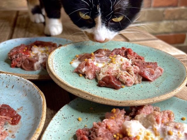 Обратите внимание на чистоту мяса. Перед тем, как оно кажется в миске питомца, вы должны убедиться, что на нём нет осколков костей и частиц различного мусора. Обратите внимание на чистоту мяса. Перед тем, как оно кажется в миске питомца, вы должны убедиться, что на нём нет осколков костей и частиц различного мусора.