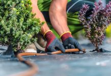 Прекратите надрывать спину: 10 вещей, которые облегчат работу в цветнике.