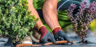 Прекратите надрывать спину: 10 вещей, которые облегчат работу в цветнике.