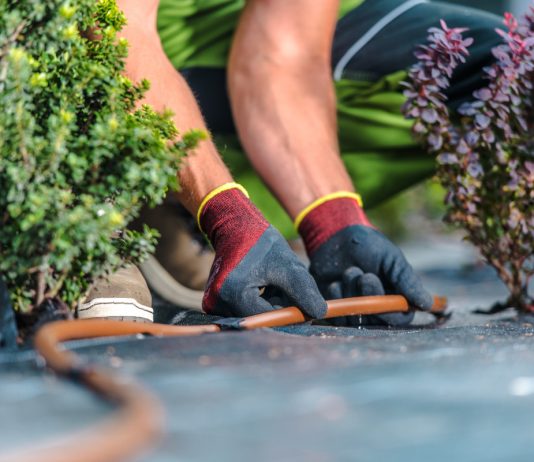 Прекратите надрывать спину: 10 вещей, которые облегчат работу в цветнике.