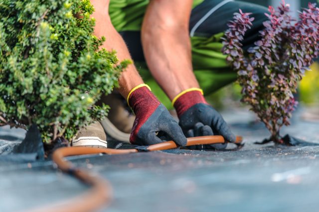 Прекратите надрывать спину: 10 вещей, которые облегчат работу в цветнике.