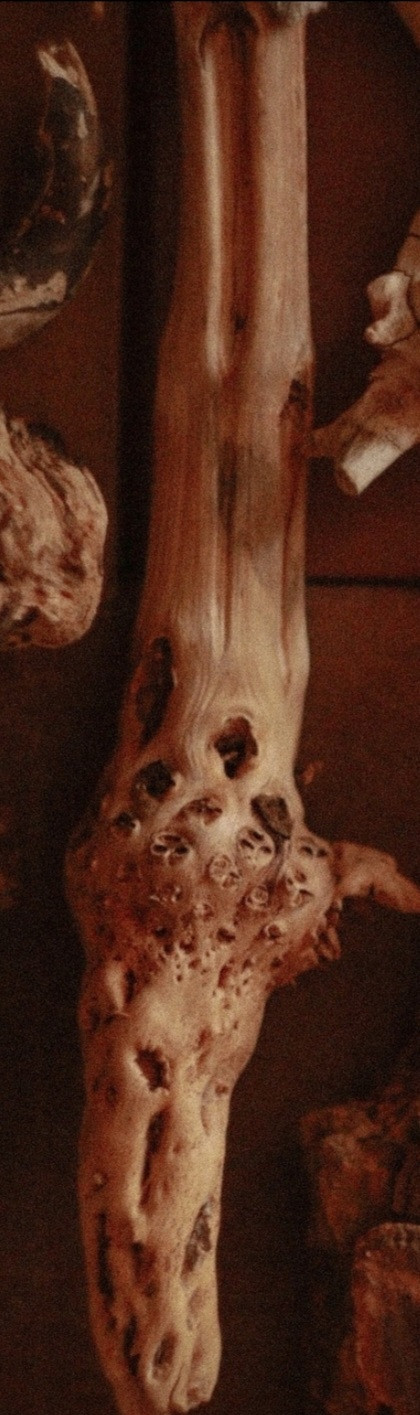 screenshot_20251103_120524_vk-1