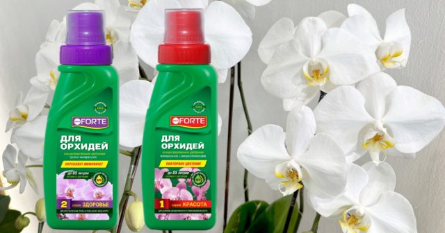 Оба комплексных состава для орхидей Bona Forte вносятся в воду для полива в концентрации 10 мл на 1,5 л воды.