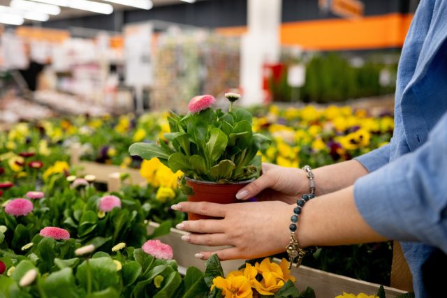 Я разговаривала с сотрудником Россельхознадзора (попросила не указывать имя). Он рассказал, что реально проверяют от силы 5–10% поставок. Документы смотрят у всех, но физический досмотр — выборочно.