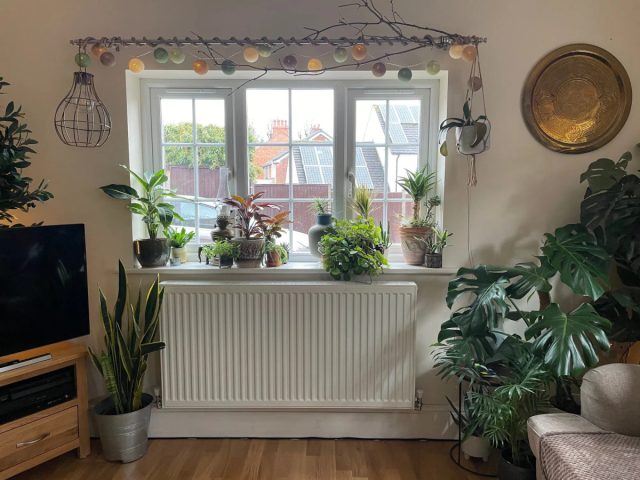 Первое, о чем следует позаботиться любому цветоводу — банально убрать от батарей свои комнатные растения.