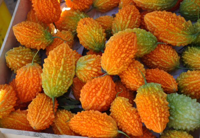 Момордика содержит бета-каротин, железо, калий, кальций, витамины (в том числе F), природные антиоксиданты.