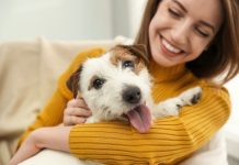 Узнайте вашу собаку по знаку зодиака — 99% совпадение Ваша собака по знаку зодиака — 99% совпадение