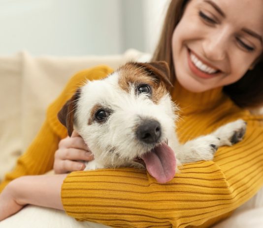 Ваша собака по знаку зодиака — 99% совпадение