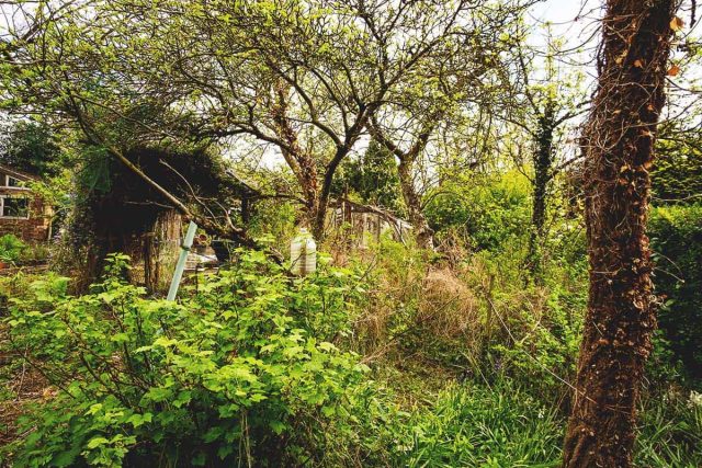 Печально смотреть на огромное количество заброшенных/запущенных участков. Их сейчас, наверное, не меньше, чем брошенных животных. Печально смотреть на огромное количество заброшенных/запущенных участков. Их сейчас, наверное, не меньше, чем брошенных животных.