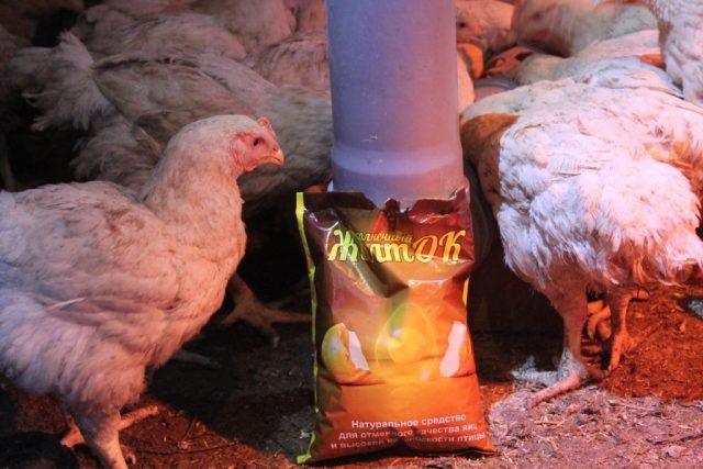 Для гарантированного поступления всех незаменимых аминокислот и балансировки рациона используются белково-витаминно-минеральные концентраты, например, «Солнечный ЖелтОК».