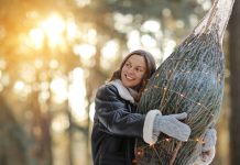 Секреты ухода за новогодней ёлкой в квартире — как сохранить красоту Как сохранить новогоднюю ёлку красивой и свежей подольше? Раскрываем секреты