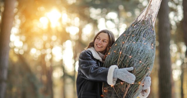Секреты ухода за новогодней ёлкой в квартире — продлеваем красоту и свежесть