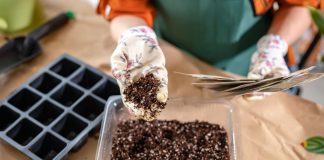 Дачный сезон начинается — 4 шага, чтобы избежать проблем - Лучшее Дачный сезон начинается — 4 шага, чтобы избежать проблем