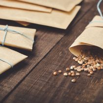 Из семян обязательно выкидываем всё просроченное более 2-х лет, составляем список имеющегося в наличии. Из семян обязательно выкидываем всё просроченное более 2-х лет, составляем список имеющегося в наличии.