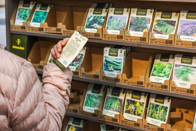 Самое главное при заказе и покупке семян - излишне не увлекаться, для чего перечень уже имеющихся семян должен быть постоянно под рукой. Самое главное при заказе и покупке семян - излишне не увлекаться, для чего перечень уже имеющихся семян должен быть постоянно под рукой.