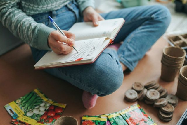 Посевной календарь помогает ориентироваться, но стандартные варианты не учитывают наши личные условия и график, поэтому мы сами размечаем все ключевые даты старта сезона под себя в крупноклеточном календаре — когда сеять рассаду, клубни и луковицы, чтобы всё успеть вовремя. Посевной календарь помогает ориентироваться, но стандартные варианты не учитывают наши личные условия и график, поэтому мы сами размечаем все ключевые даты старта сезона под себя в крупноклеточном календаре — когда сеять рассаду, клубни и луковицы, чтобы всё успеть вовремя.