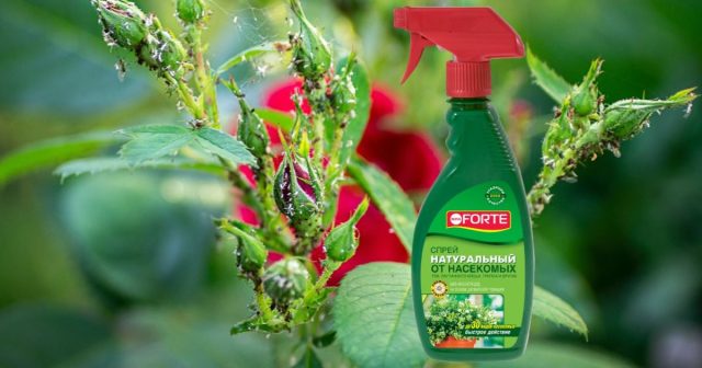 Натуральный спрей от летающих и ползающих насекомых Bona Forte