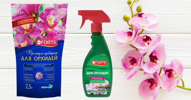 В субстрат для орхидей Bona Forte входят сосновая кора, сфагнум, торф и даже биогумус – натуральный и естественный для эпифитов питательный компонент. В субстрат для орхидей Bona Forte входят сосновая кора, сфагнум, торф и даже биогумус – натуральный и естественный для эпифитов питательный компонент.