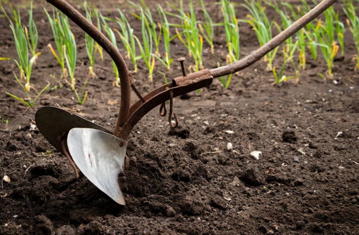 7 главных мифов о почве, из-за которых вы потеряете урожай 7 главных мифов о почве, из-за которых вы потеряете урожай