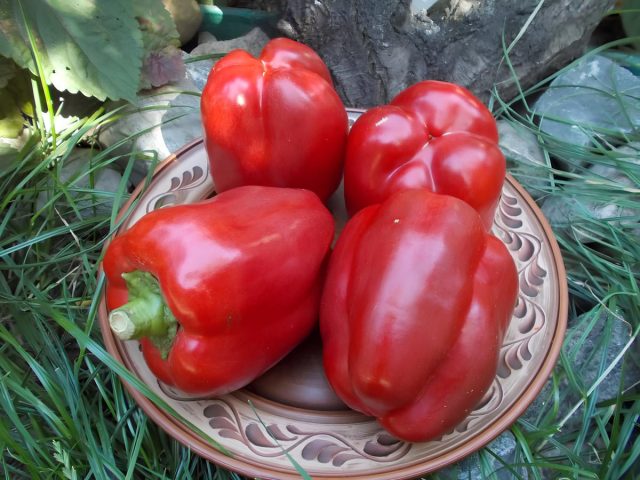 Калифорнийское чудо: Среднеспелый кубовидный сорт 6–7 мм, стабильный и предсказуемый. Отлично фаршируется половинками, подходит для запекания, в открытом грунте может быть чуть тоньше, что делает его ещё удобнее для готовки. Сладкий перец Калифорнийское чудо