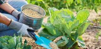 Что вы не знали о минеральных удобрениях — мифы и реальная польза