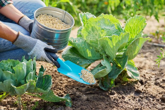 Что вы не знали о минеральных удобрениях — мифы и реальная польза Что вы не знали о минеральных удобрениях — мифы и реальная польза